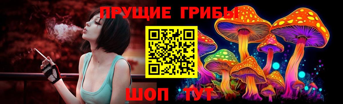 Псилоцибиновые грибы мицелий Дзержинск