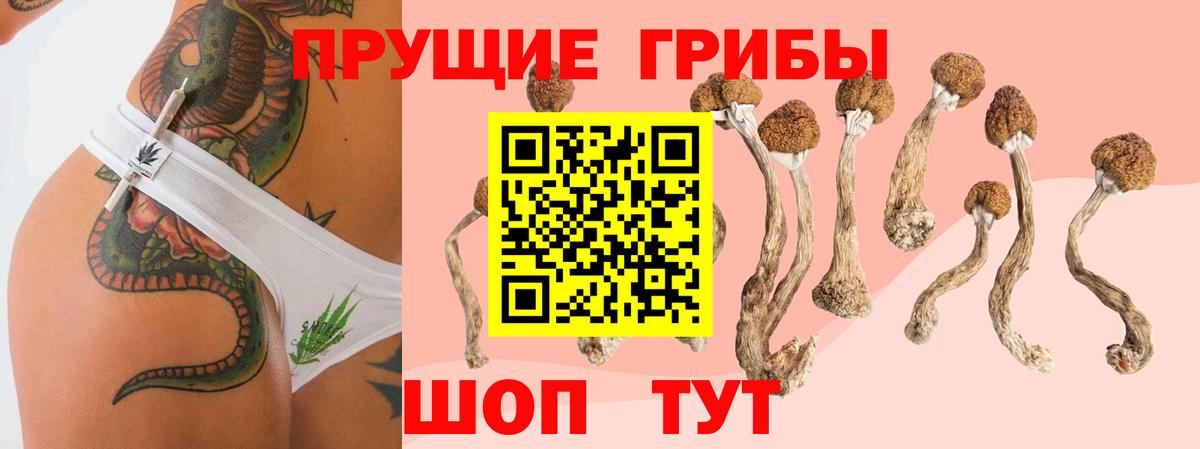 Псилоцибиновые грибы MAGIC MUSHROOMS  Галлюциногенные грибы мухоморы  Дзержинск  Вход с VPN 